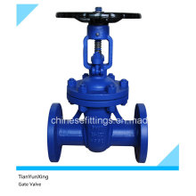 En558-1 DIN Cast Iron Flange Type Gate Valve